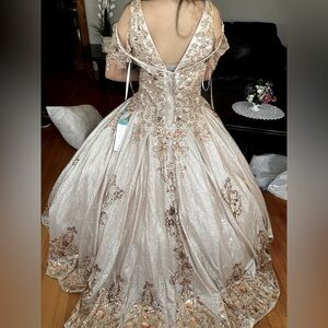 Quincenera dress